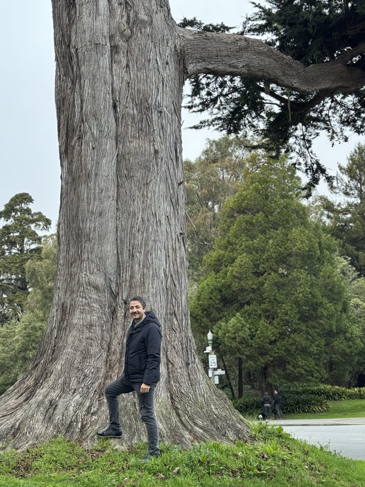 Hamid Gholizadeh standing beside an old cedar tree in Golden Gate Park